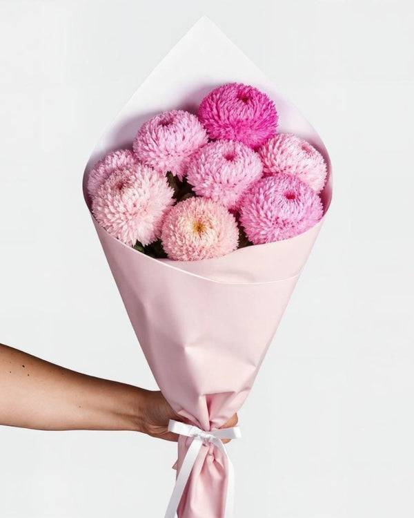 Pink Chrysanthemum Puff Bliss