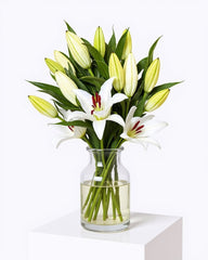 Peaceful Lily Vase