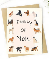 Sympathy Dogs - Card