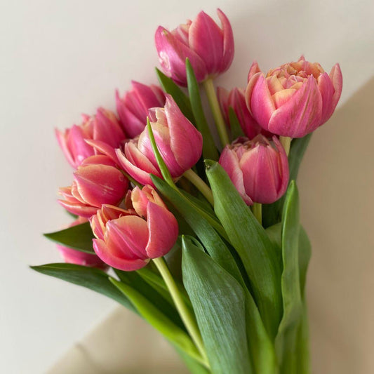 Flowers for Valentine's Day that Aren't Roses - Florist.co.nz