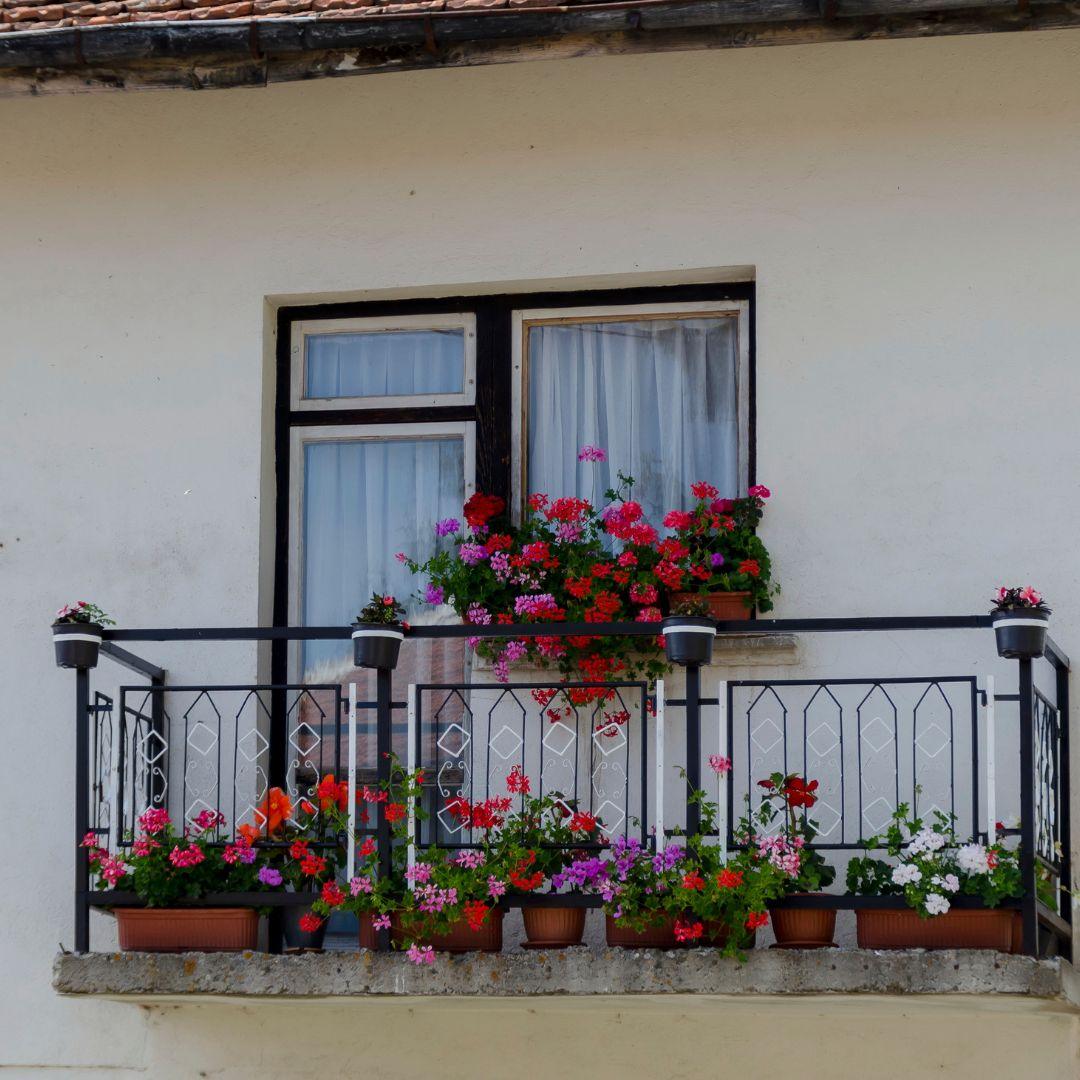 Urban Gardening: Bringing Flowers to City Balconies - Florist.co.nz