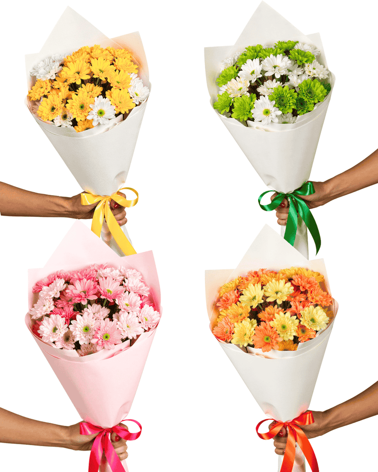 Choose Your Colour Posy + Gift Box