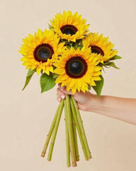 Sunflower Bunch - Florist.co.nz